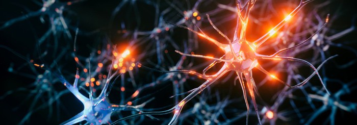 Bioglutide NA-931 Central nervous system | Shaanxi BLOOM Tech Co., Ltd Bioglutide NA-931 Central nervous system | Shaanxi BLOOM Tech Co., Ltd